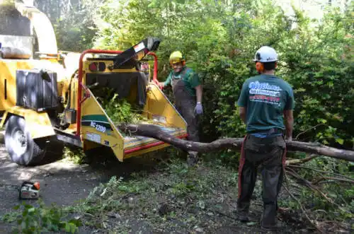 tree services Manasota Key